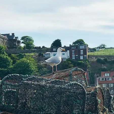 Mooredge * Whitby
