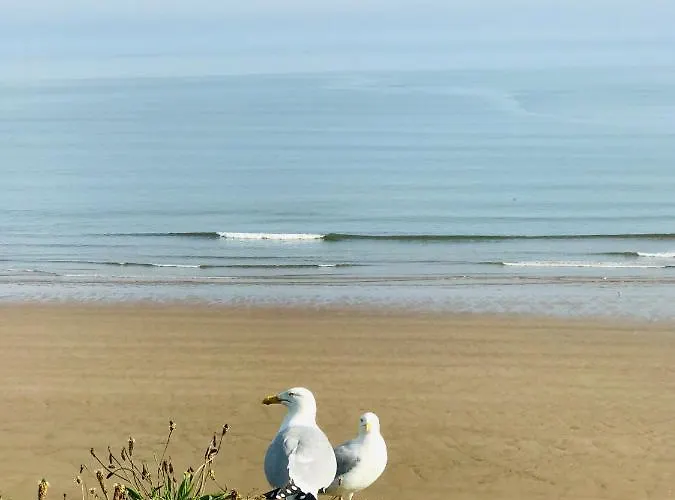 Mooredge Guest house 3*